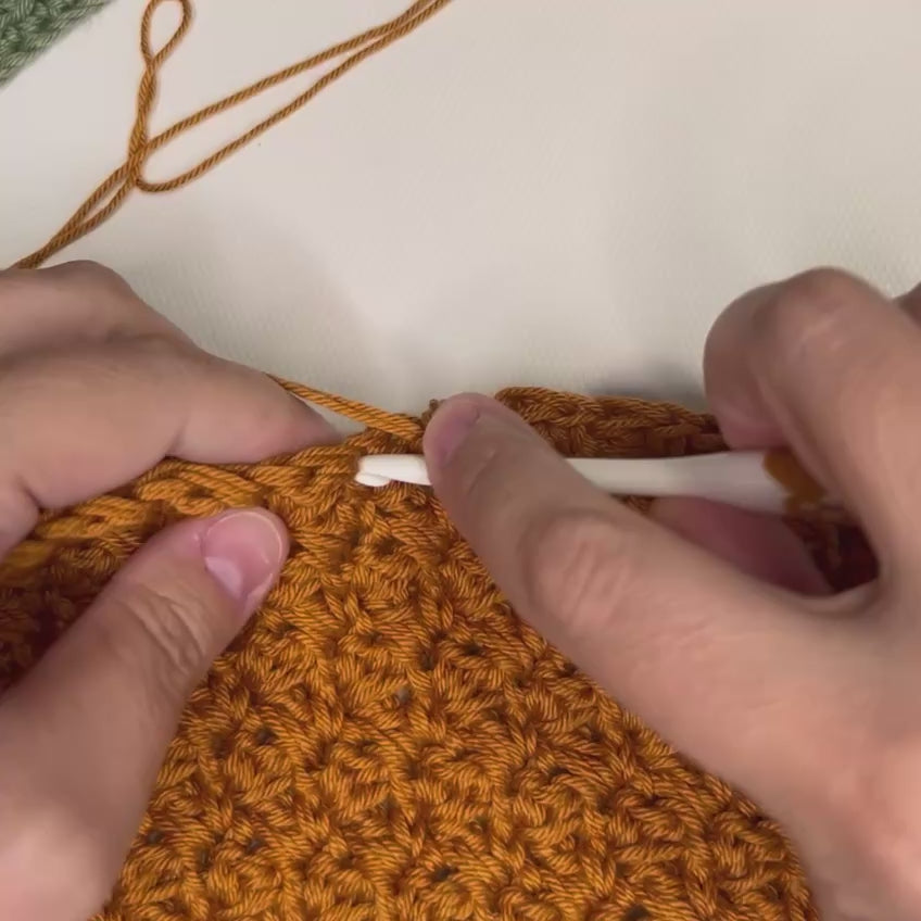 4-in-1 Set of Dishcloths
